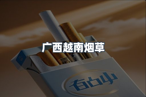 广西越南烟草